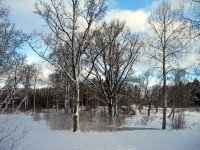 thumbs/IMG_0718.jpg