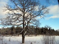 thumbs/IMG_0719.jpg