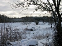 thumbs/IMG_0726.jpg