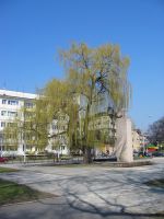 thumbs/IMG_0962.jpg
