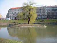 thumbs/IMG_0963.jpg