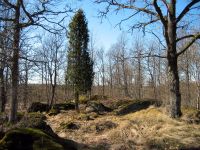 thumbs/IMG_1053.jpg