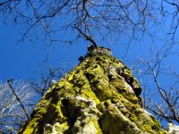 thumbs/IMG_1063.jpg