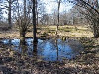 thumbs/IMG_1070.jpg