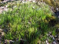 thumbs/IMG_1074.jpg