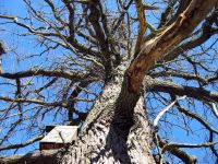 thumbs/IMG_1076.jpg