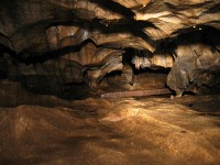 thumbs/IMG_0386.jpg