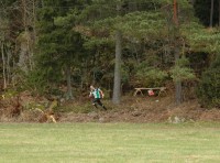 thumbs/DSC_0343.JPG