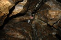 thumbs/DSC_0046.JPG