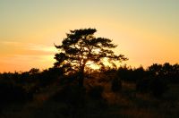 thumbs/DSC_0118.JPG