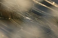 thumbs/DSC_0139_DSC_0301.JPG