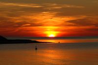 thumbs/DSC_0156.JPG