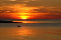 thumbs/DSC_0159.JPG