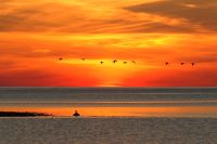 thumbs/DSC_0173.JPG