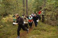 LOK:s h�stt�vling,