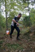 LOK:s h�stt�vling, AB:s bilder,