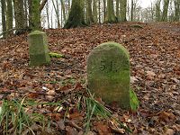 thumbs/IMG_0240.JPG