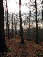 thumbs/IMG_0241.JPG