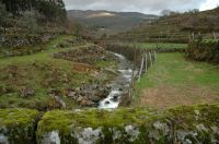 thumbs/DSC_0049.JPG