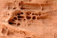 thumbs/DSC_0316.JPG