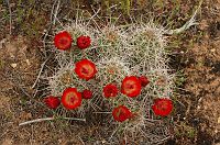 thumbs/DSC_0329.JPG