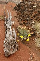 thumbs/DSC_0410.JPG