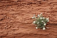 thumbs/DSC_0428.JPG