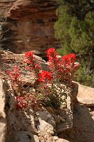thumbs/DSC_0478.JPG