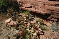 thumbs/DSC_0480.JPG
