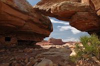 thumbs/DSC_0482.JPG