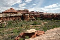 thumbs/DSC_0492.JPG