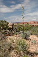 thumbs/DSC_0494.JPG