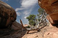thumbs/DSC_0498.JPG