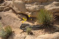 thumbs/DSC_0505.JPG