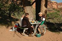 thumbs/DSC_0547.JPG