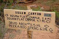 thumbs/DSC_0577.JPG