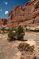 thumbs/DSC_0586.JPG