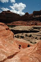 thumbs/DSC_0590.JPG