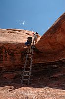 thumbs/DSC_0593.JPG