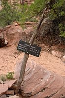 thumbs/DSC_0601.JPG