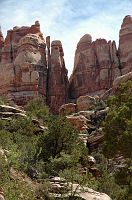thumbs/DSC_0603.JPG