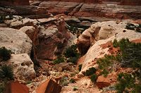 thumbs/DSC_0610.JPG