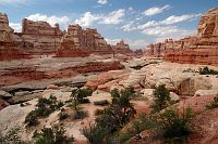 thumbs/DSC_0617.JPG