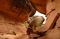 thumbs/DSC_0694.JPG