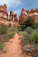 thumbs/DSC_0732.JPG
