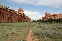 thumbs/DSC_0740.JPG