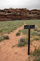 thumbs/DSC_0742.JPG