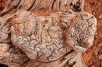 thumbs/DSC_0950.JPG