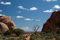 thumbs/DSC_1073.JPG