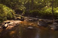 thumbs/DSC_0042.jpg